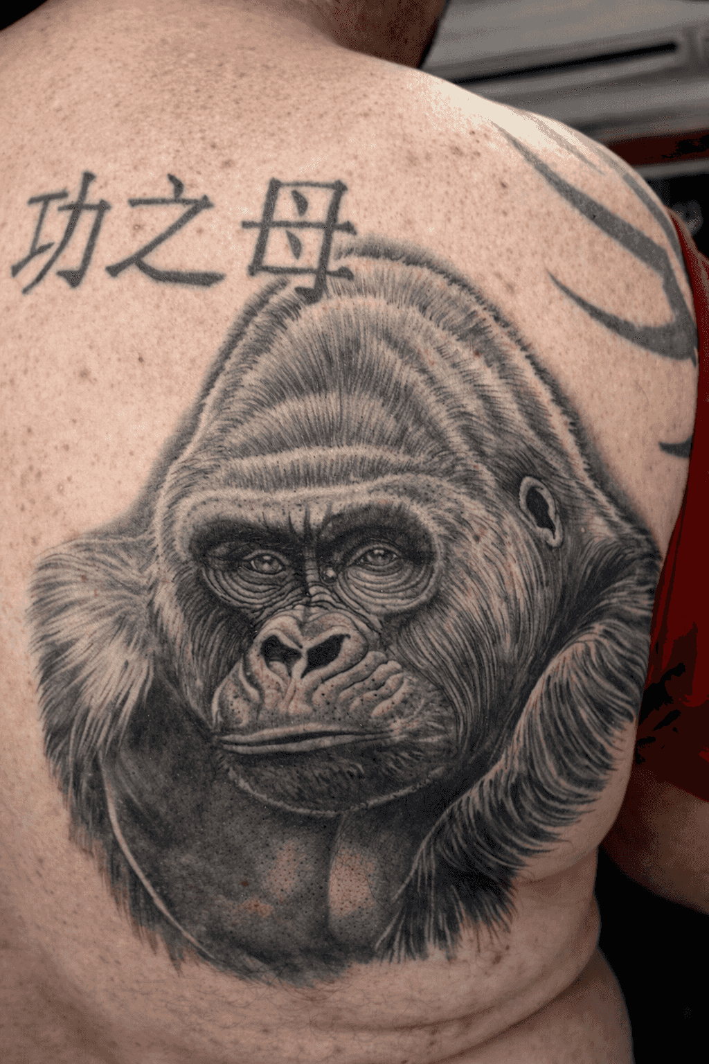 Tatouage réaliste d'un gorille dans le dos, accompagné de caractères chinois au-dessus du visage détaillé du gorille, réalisé par Steven Chaudesaigues à Graphicaderme Orange, salon de tatouage à Orange.